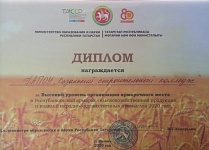 диплом ярмарка.jpeg