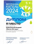 цивильский 3 место.jpg